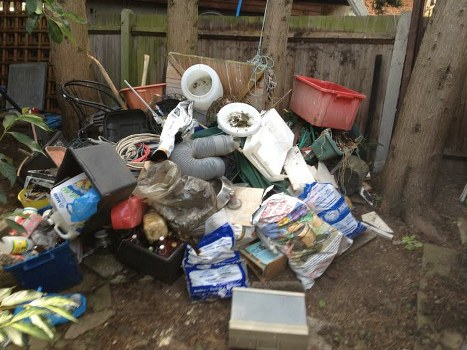 Commercial waste removal service at a local business